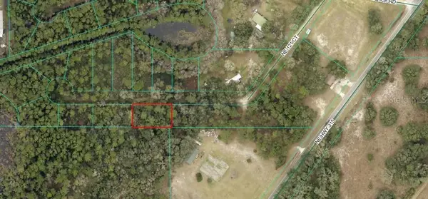 Ne 121 Ct, FORT MC COY, FL 32134