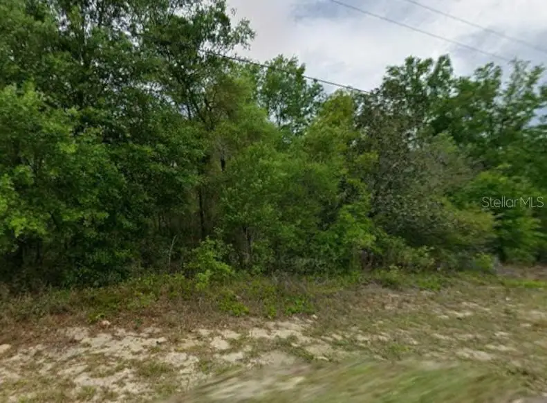 9223 N Justa Drive, Citrus Springs, FL 34433 - #1
