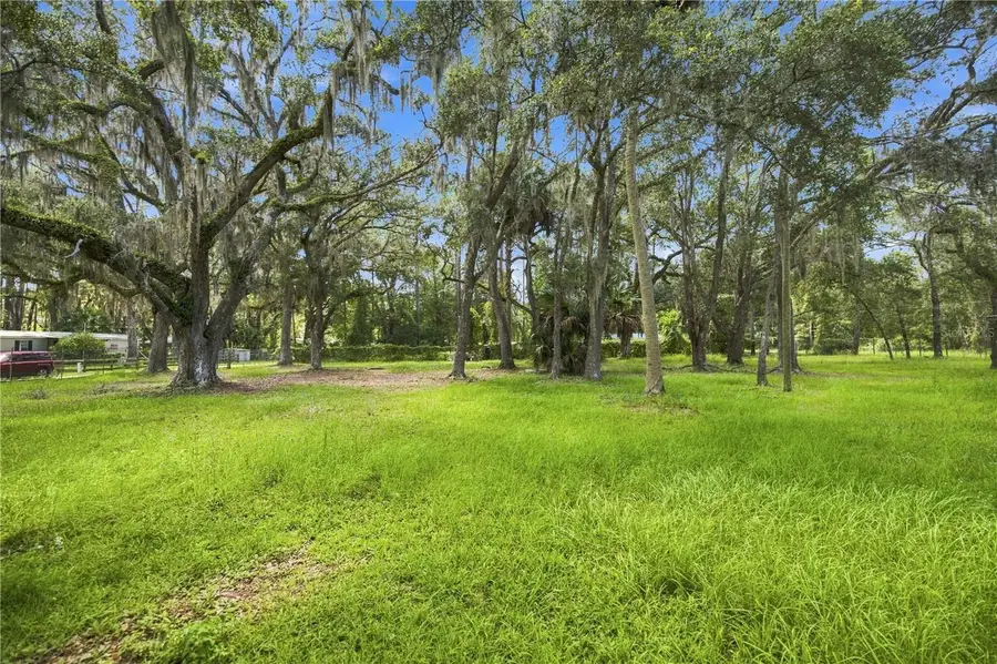 14200 NE 165th Street, Fort McCoy, FL 32134 - #2