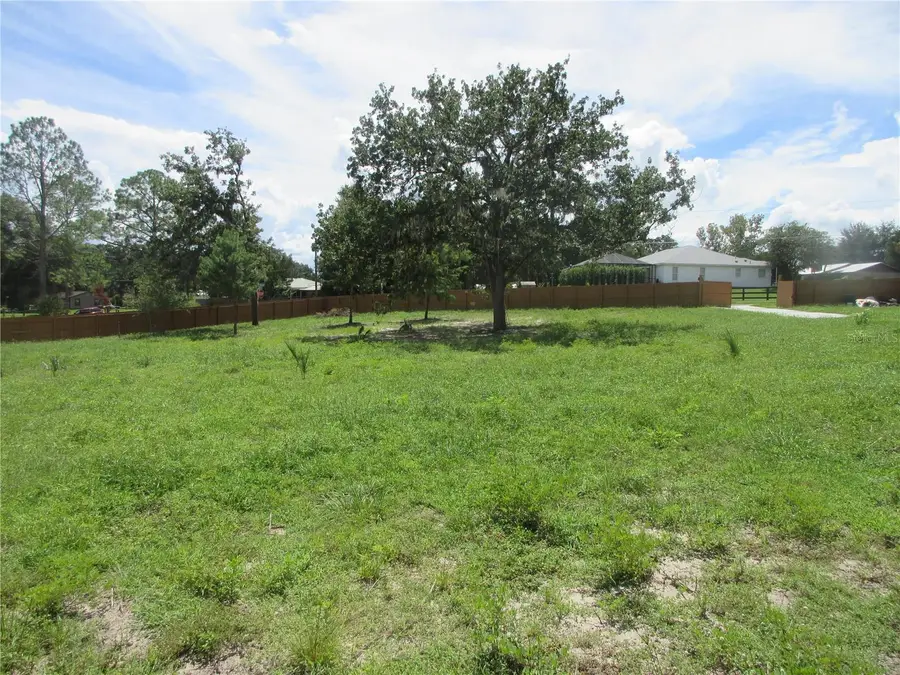 16061 SE 17th Street, Ocklawaha, FL 32179 - #3