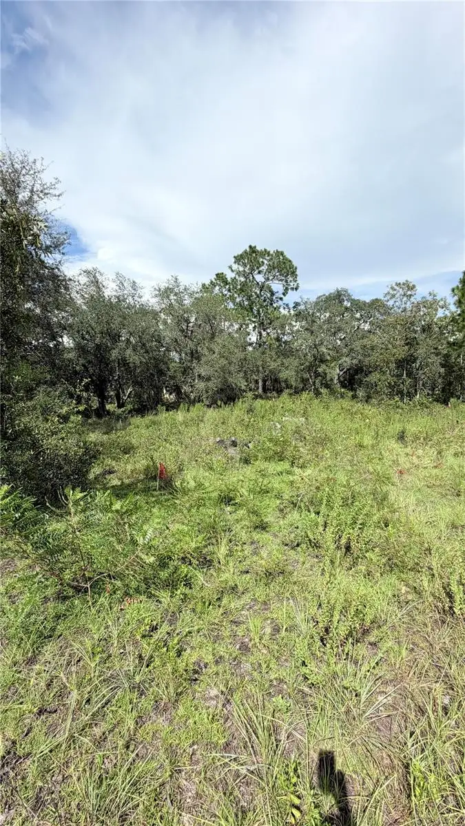 NE 65th Street, Williston, FL 32696 - #1
