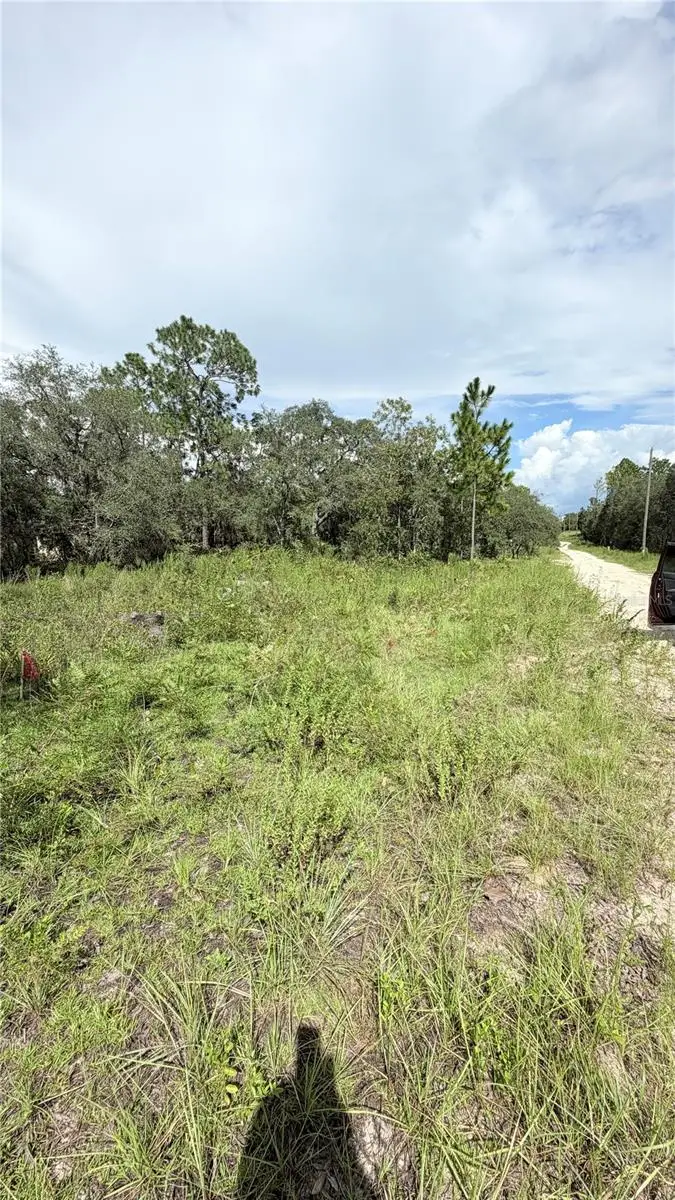 NE 65th Street, Williston, FL 32696 - #2