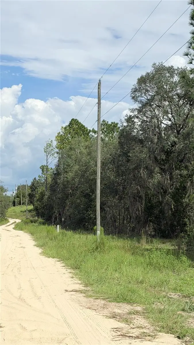 NE 65th Street, Williston, FL 32696 - #3