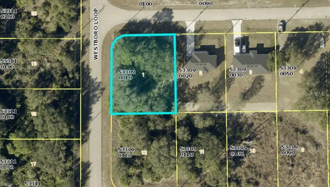 719 Tunney Street, Lehigh Acres, FL 33972 - #1