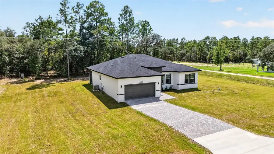 12698 SW 80th Street, Dunnellon, FL 34432 - #3