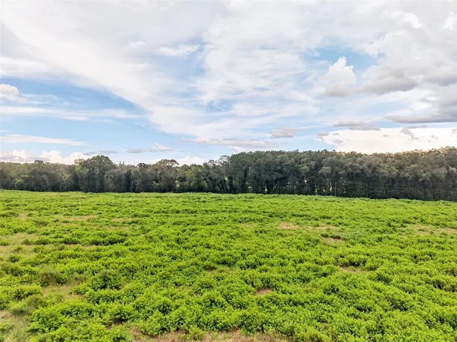 4949 NW 100th Street, Ocala, FL 34482 - #2