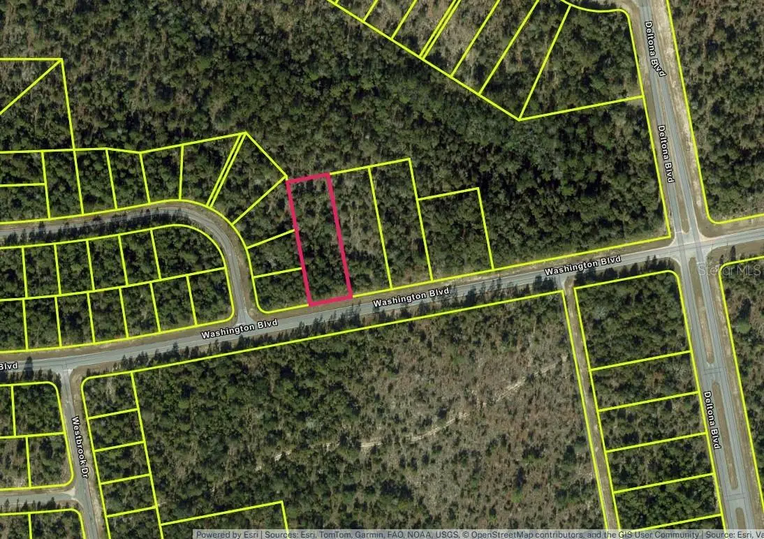 Lot 26 Unit 6 Blk 365 Washington Boulevard, Chipley, FL 32428 - #1