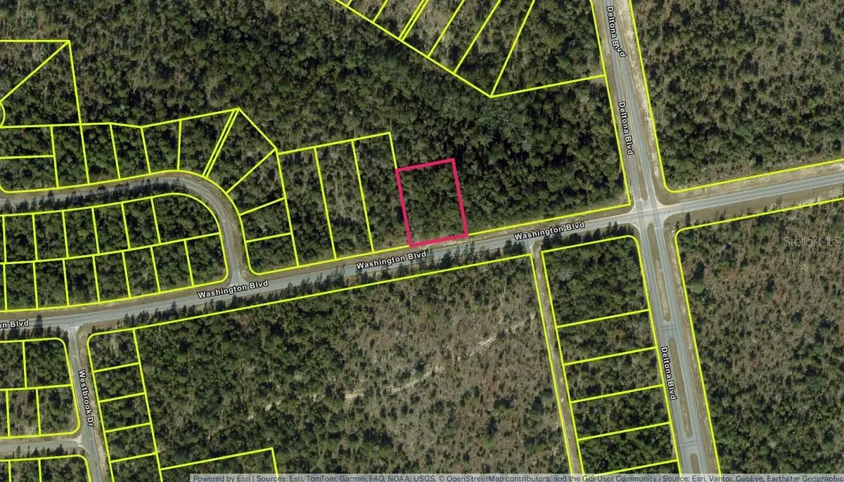 Lot 29 Unit 6 Blk 365 Washington Boulevard, Chipley, FL 32428 - #1