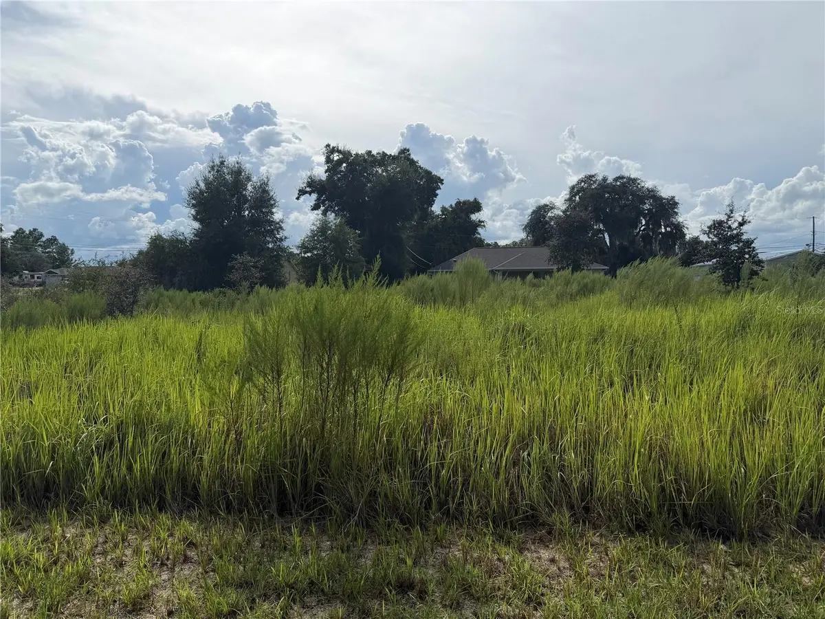 TBD Locust Pass Loop, Ocala, FL 34472 - #1