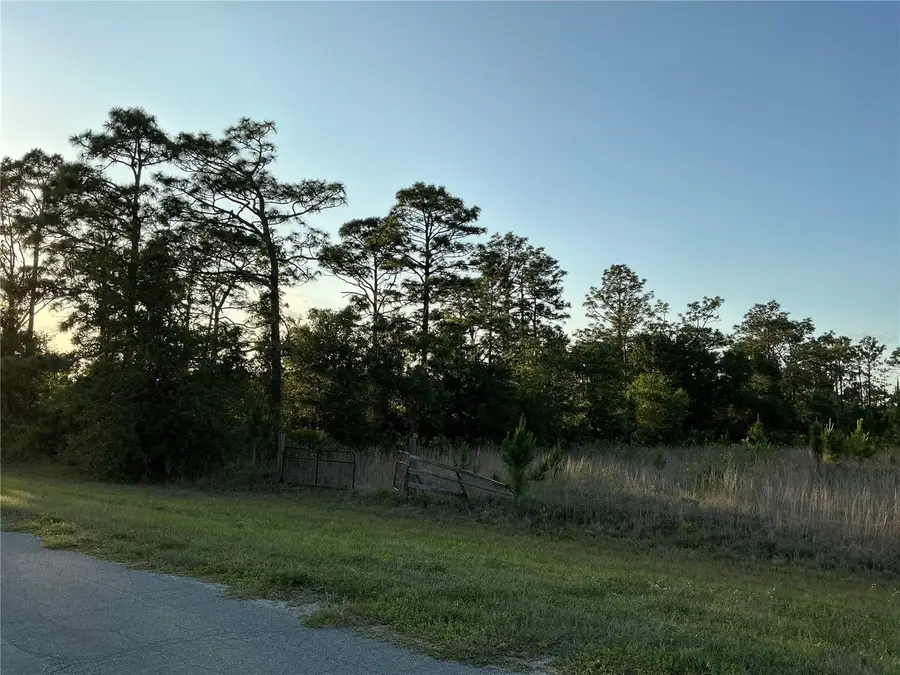 Reynolds Parkway, Orlando, FL 32833 - #3