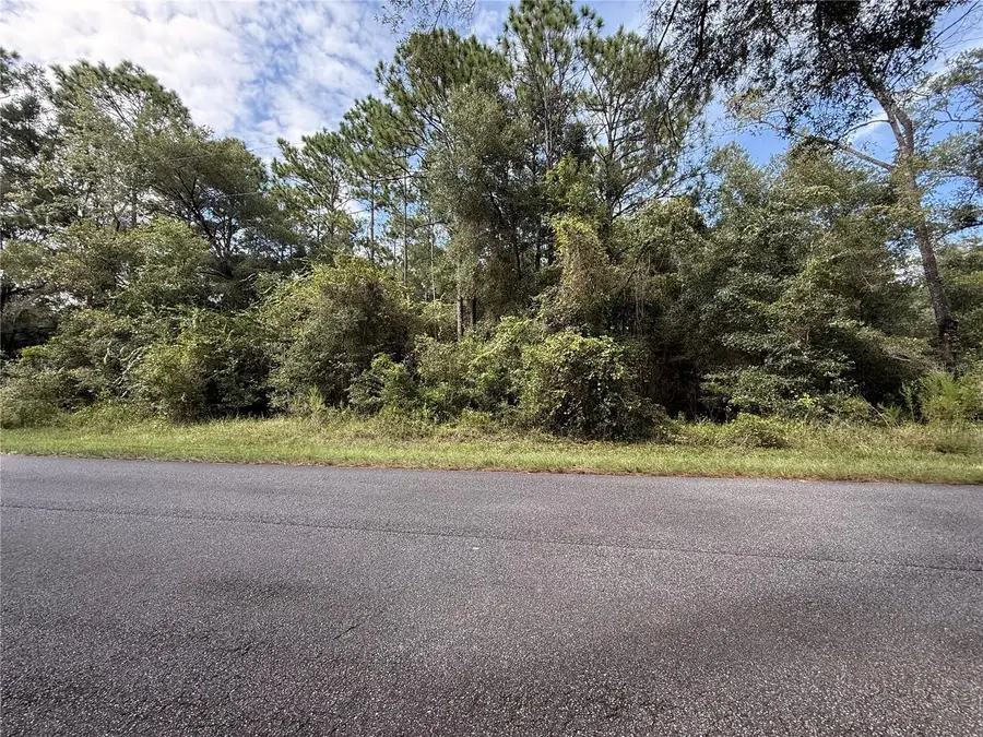 TBD SW 57th Place, Dunnellon, FL 34431 - #2