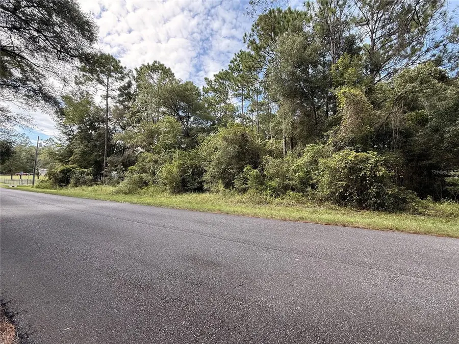 TBD SW 57th Place, Dunnellon, FL 34431 - #3