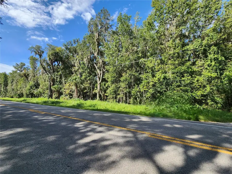 00 County Road 329, Micanopy, FL 32667 - #3