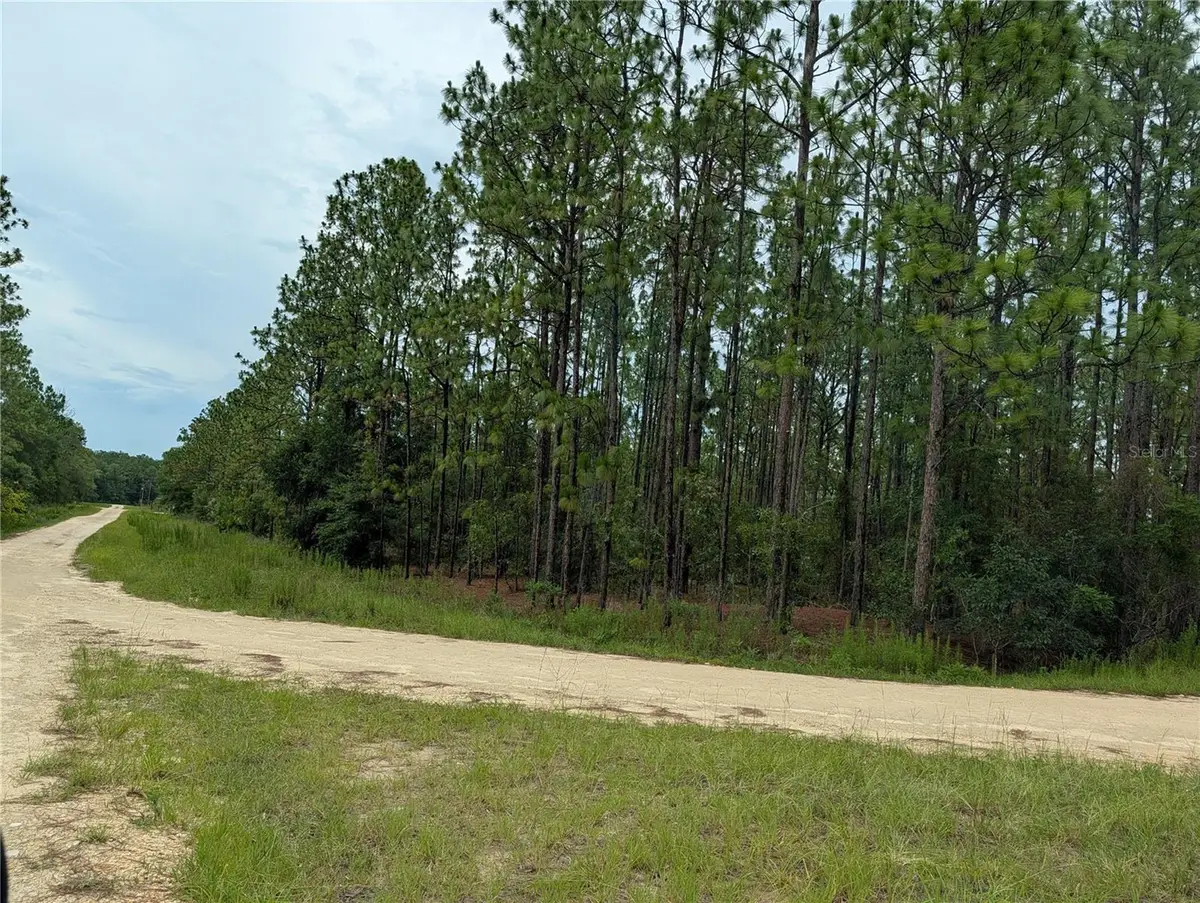 SW Tbd Sw 125th Court Road, Ocala, FL 34481 - #1