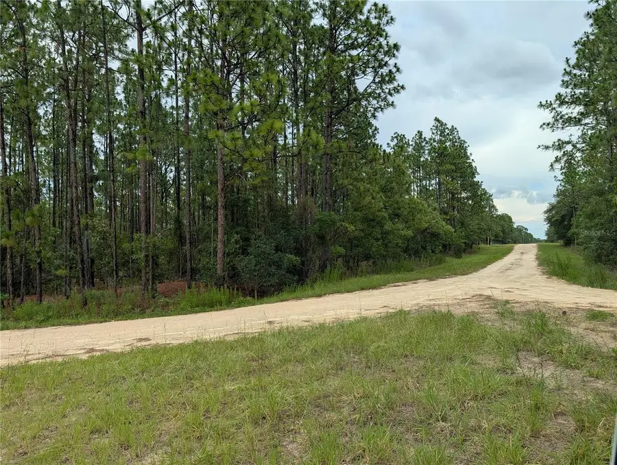 SW Tbd Sw 125th Court Road, Ocala, FL 34481 - #2