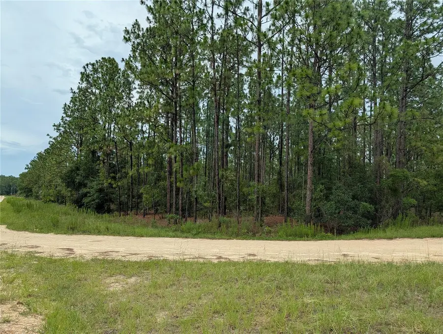 SW Tbd Sw 125th Court Road, Ocala, FL 34481 - #3