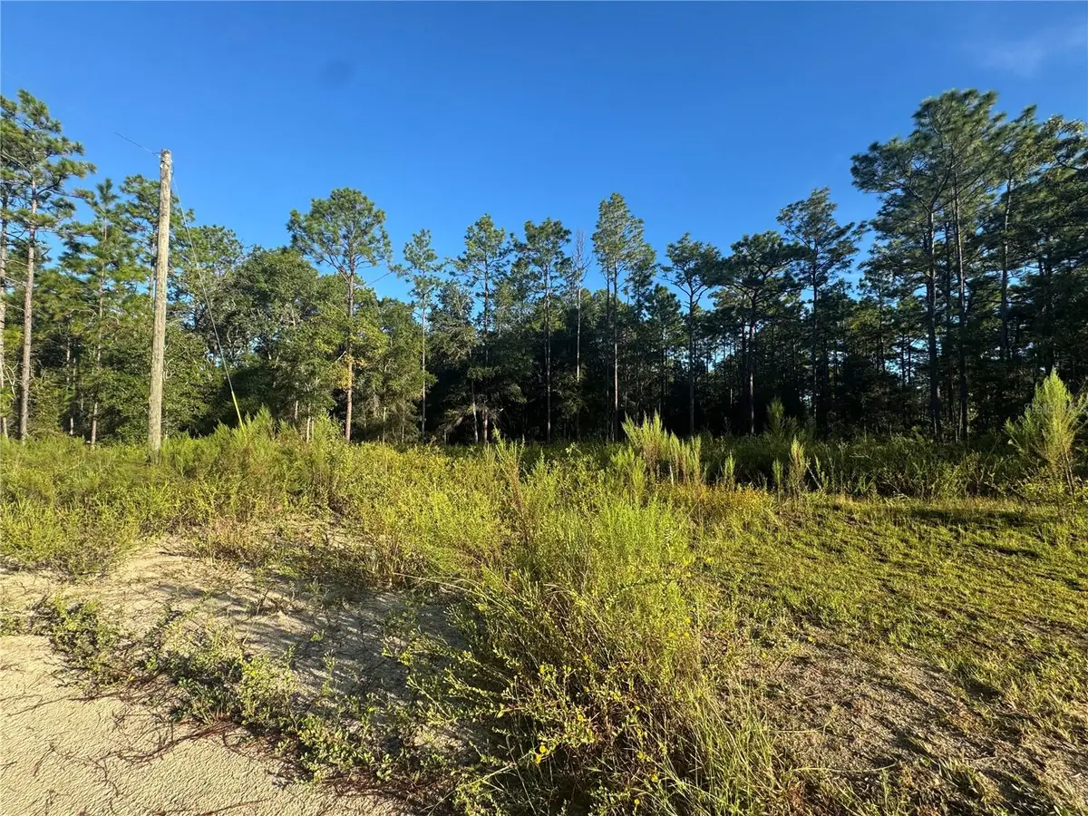 16327 SW 24th Place, Ocala, FL 34481 - #1