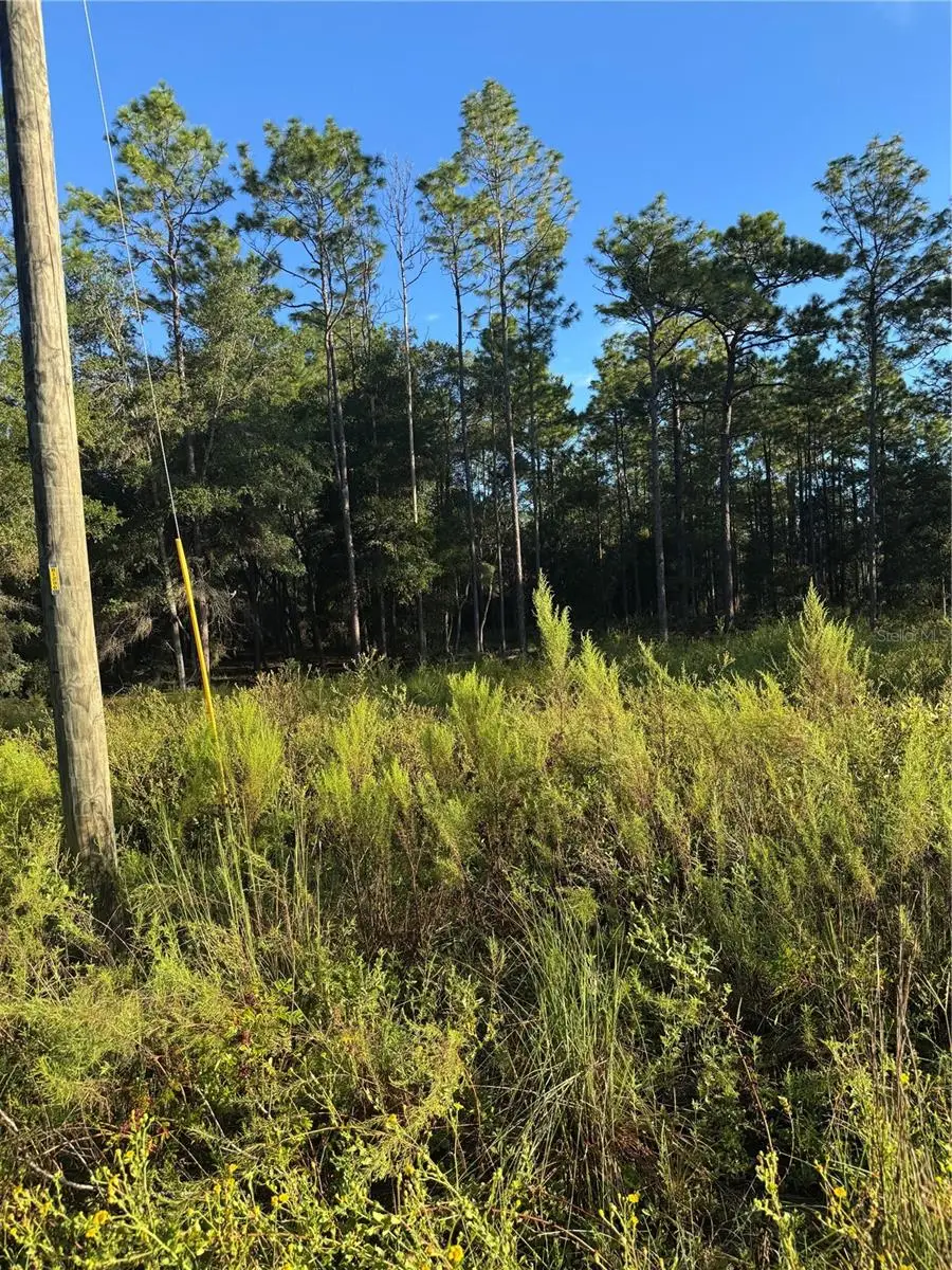 16327 SW 24th Place, Ocala, FL 34481 - #2