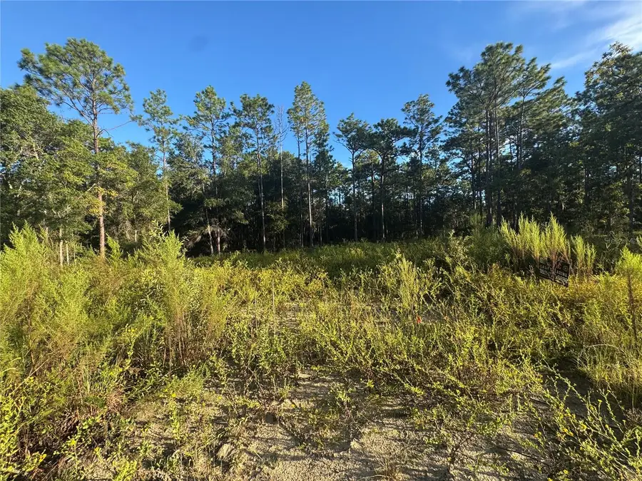 16327 SW 24th Place, Ocala, FL 34481 - #3