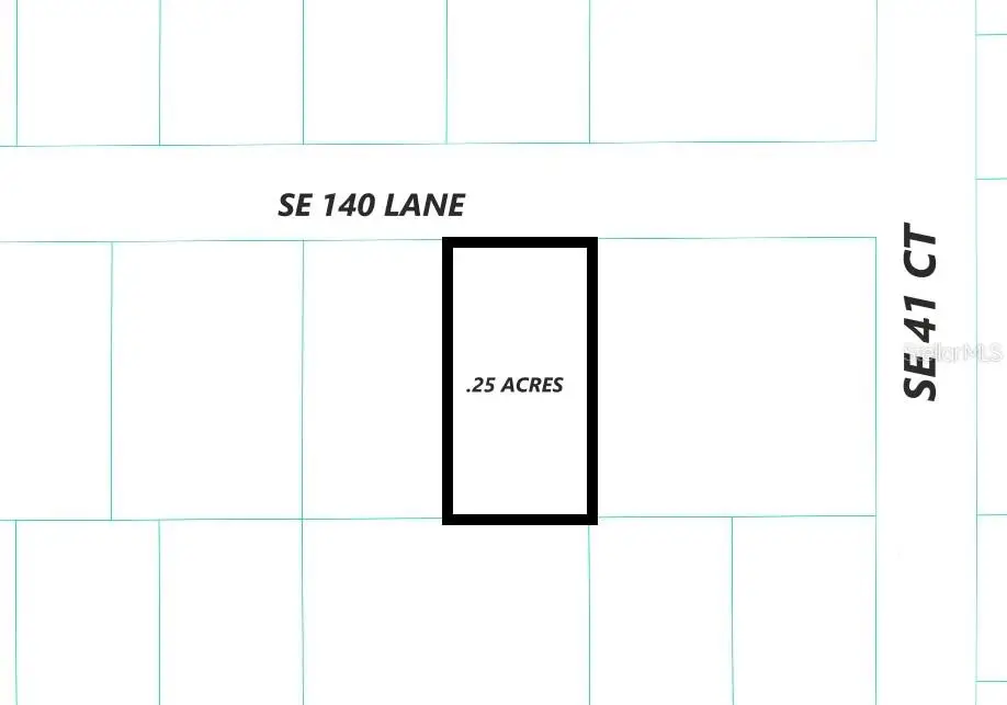 140 Lane, Summerfield, FL 34491 - #1