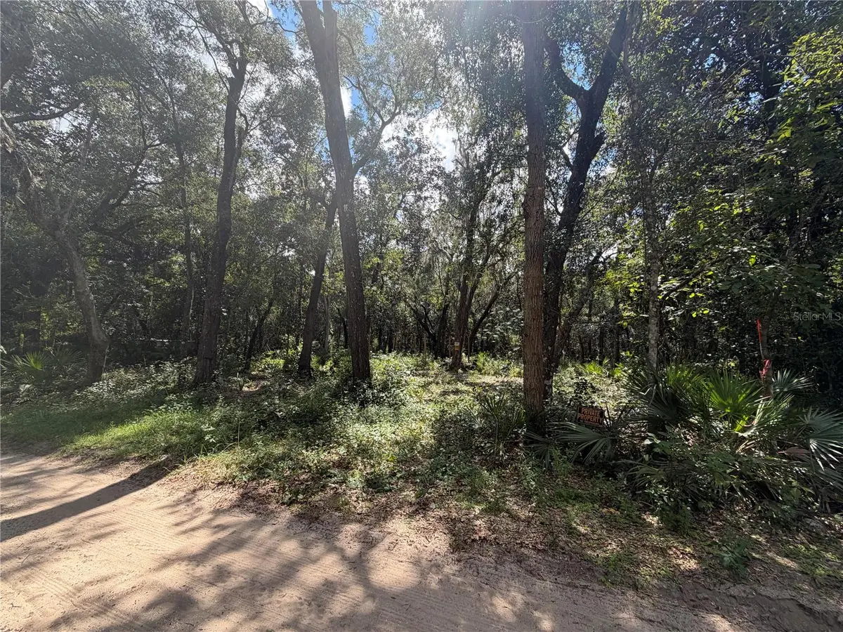 0 NE 37th Street, Silver Springs, FL 34488 - #1