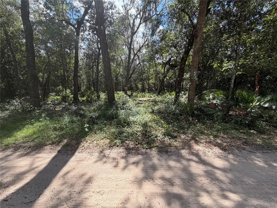 0 NE 37th Street, Silver Springs, FL 34488 - #2