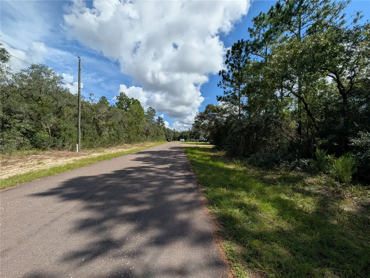 8511 N Boone Way, Citrus Springs, FL 34433 - #1