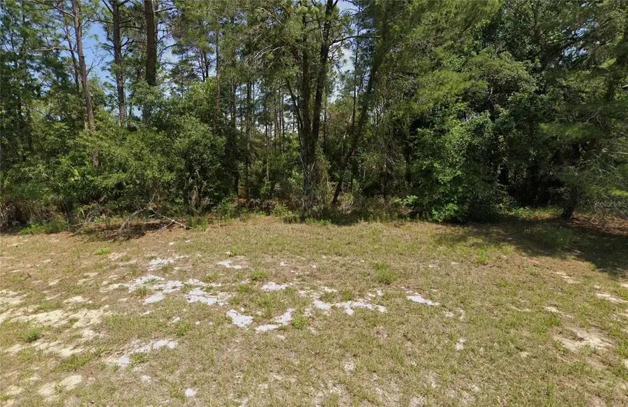 8941 SW 131st Place, Ocala, FL 34476 - #2
