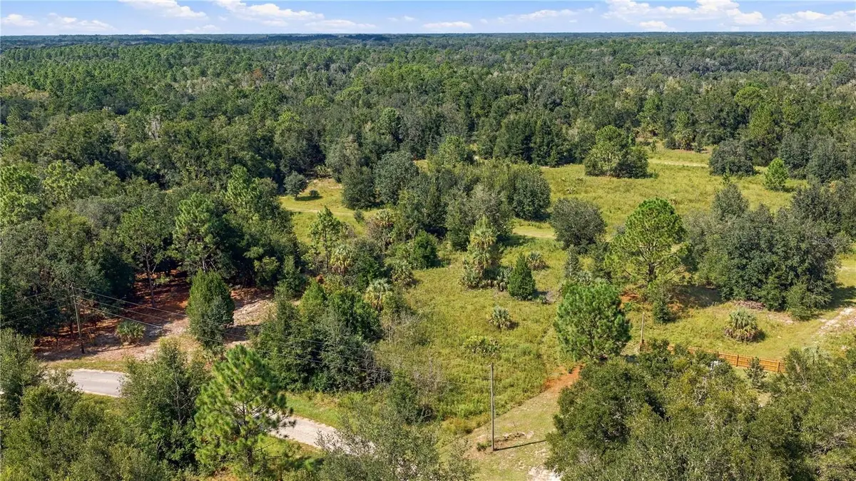 8751 N Catapane Loop, Crystal River, FL 34428 - #1