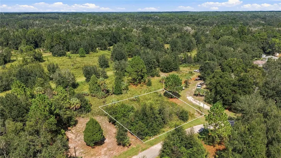 8751 N Catapane Loop, Crystal River, FL 34428 - #2
