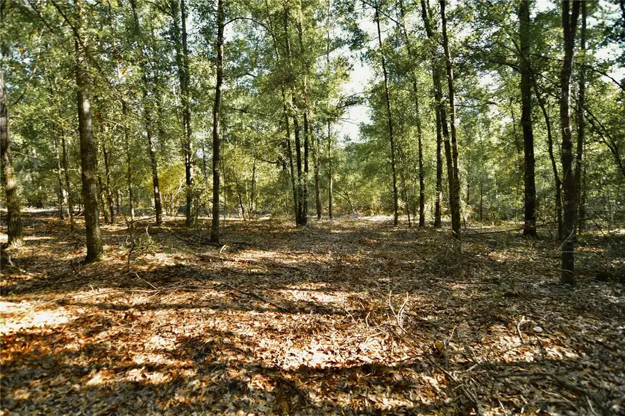 00 Sw 40th Ave, Jasper, FL 32052 - #2
