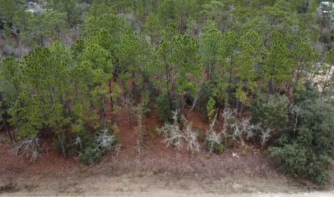 TBD SW 91st Lane, Dunnellon, FL 34432 - #1