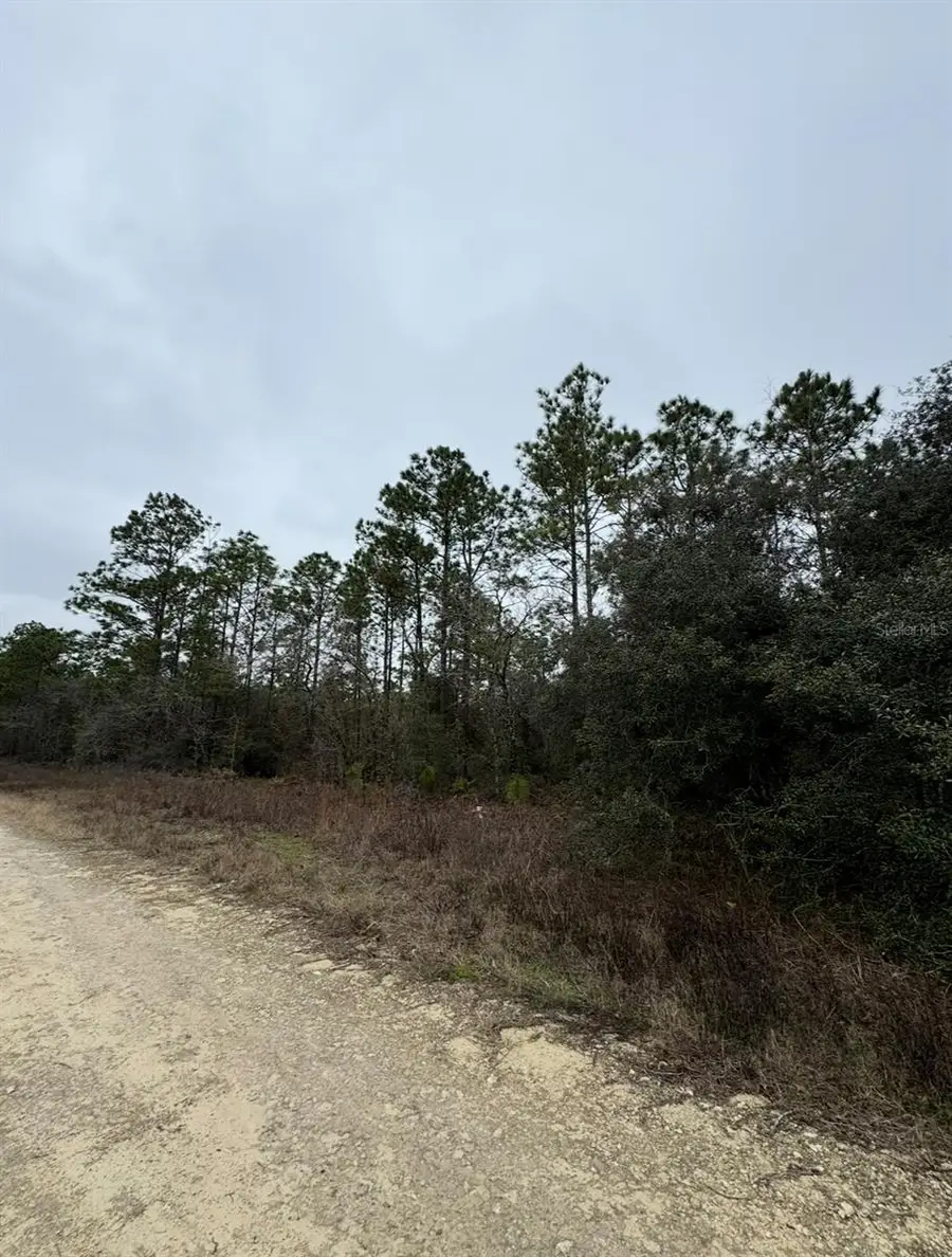 TBD SW 91st Lane, Dunnellon, FL 34432 - #3