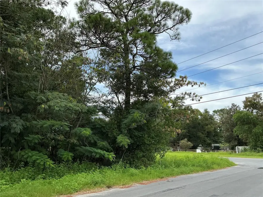 LOT 1 Pine Radial Run, Ocala, FL 34472 - #3