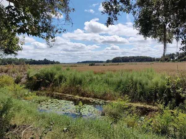 6090 N Bayfront Drive, HERNANDO, FL 34442