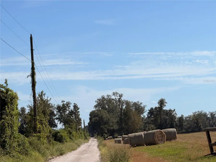 0 85th Road, Suwannee, FL 32071 - #2