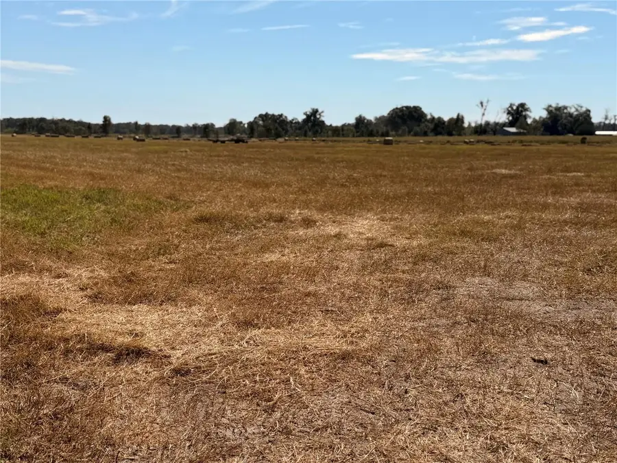 0 85th Road, Suwannee, FL 32071 - #3