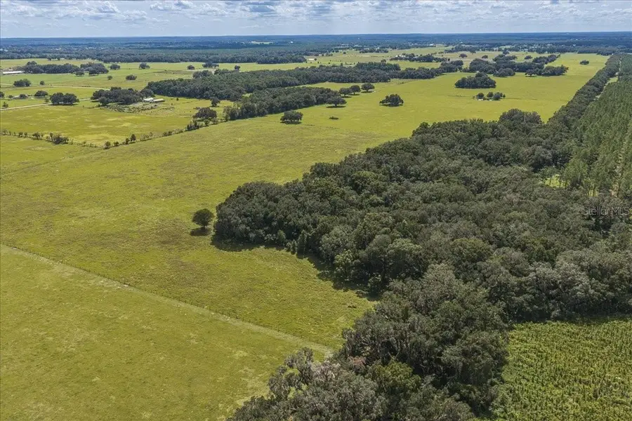 SE 215th Avenue, Morriston, FL 32668 - #2