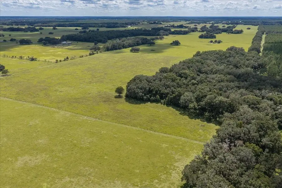 SE 215th Avenue, Morriston, FL 32668 - #3