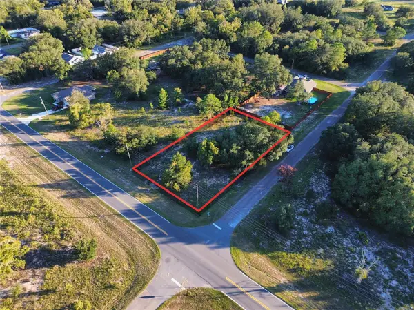 TBD SE 113th Street Road, OCKLAWAHA, FL 32179