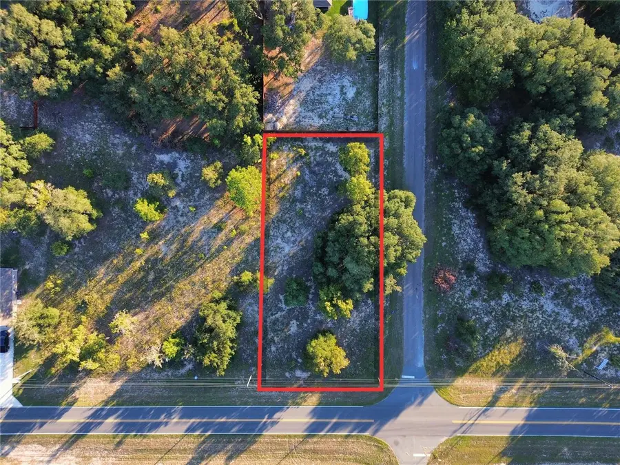 TBD SE 113th Street Road, Ocklawaha, FL 32179 - #3