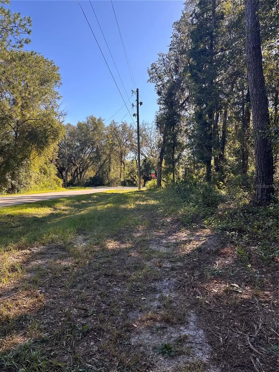 11660 NE 225th Street, Fort McCoy Anthony, FL 32134 - #3