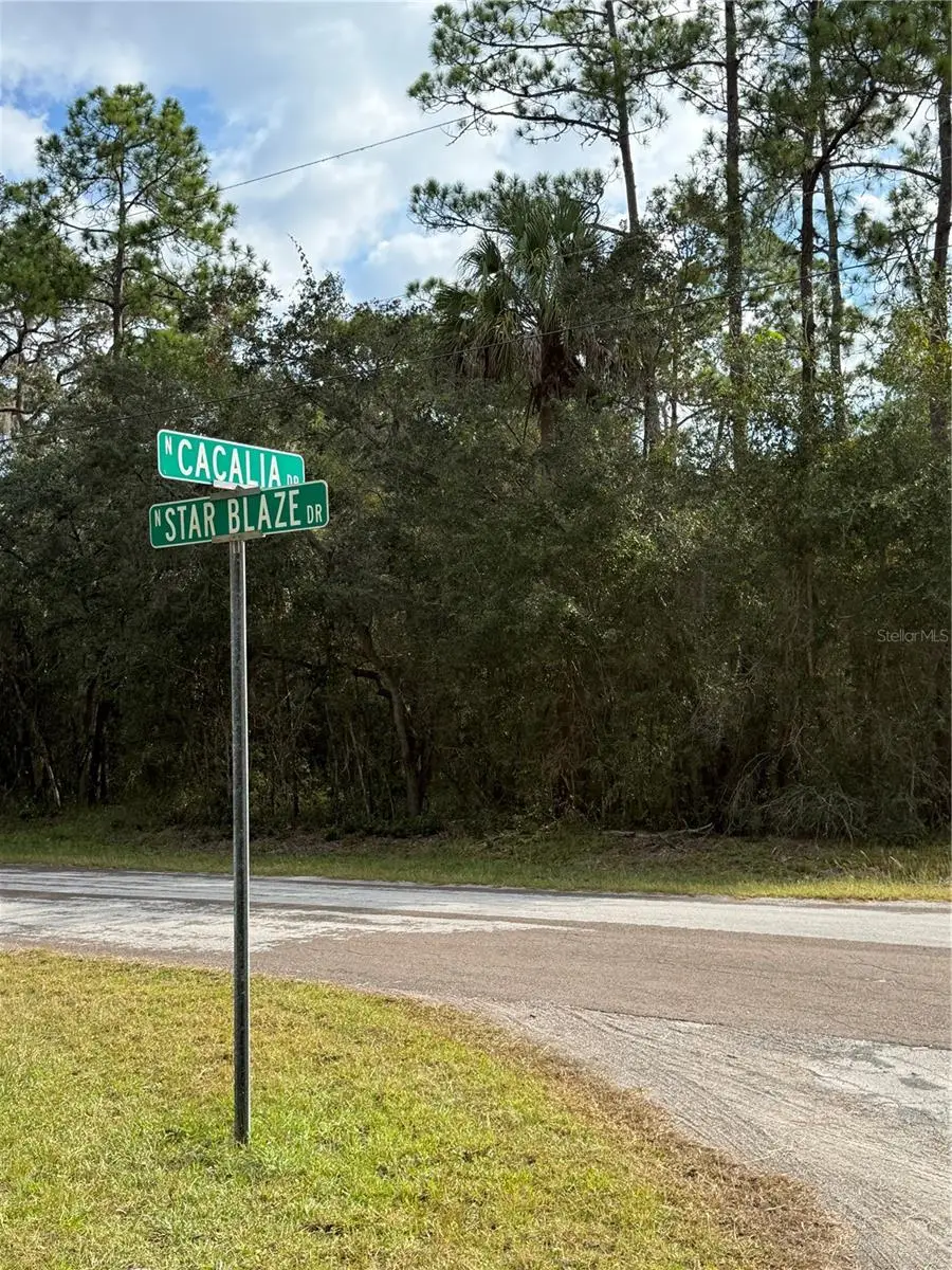 8941 N Star Blaze Drive #2, Crystal River, FL 34428 - #2