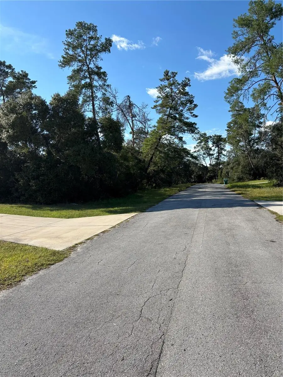 0 SW 171st Street, Ocala, FL 34473 - #1