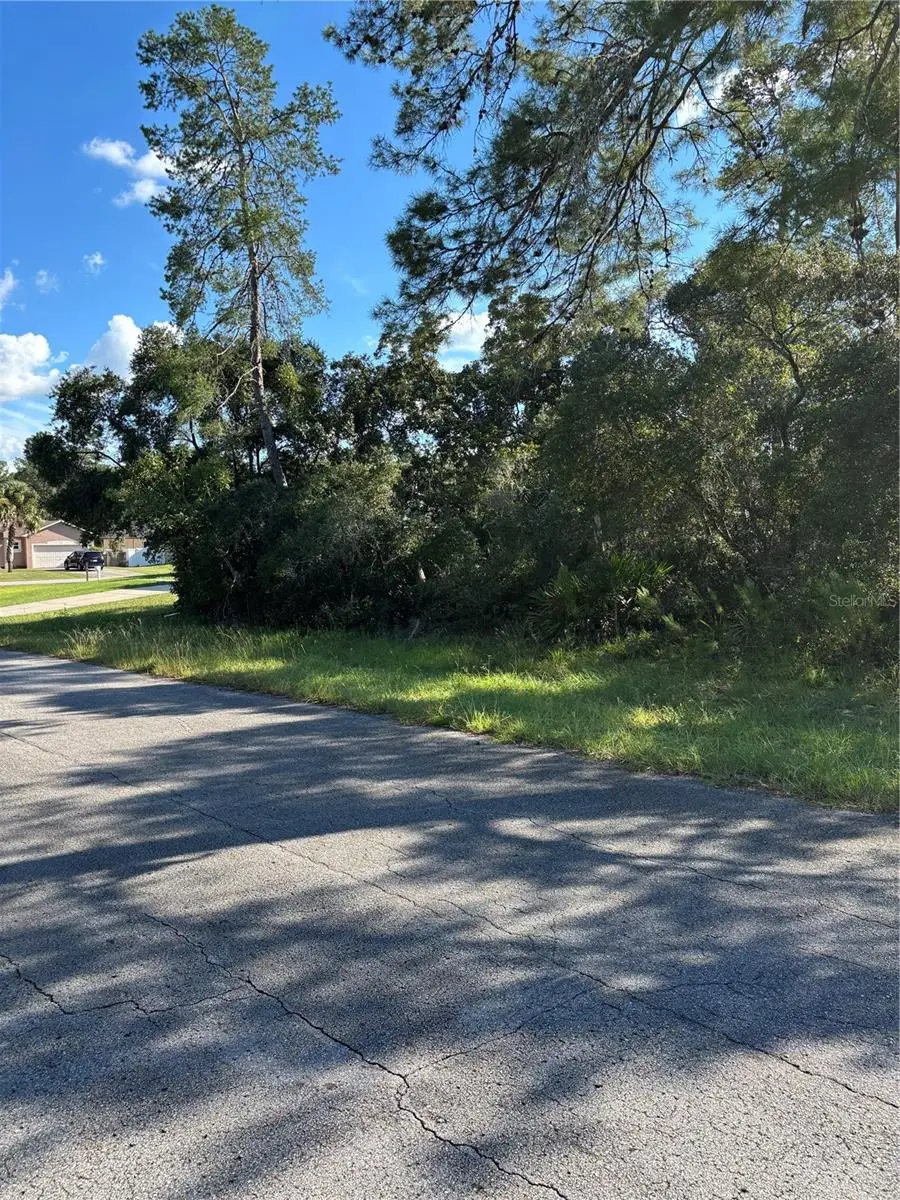 0 SW 171st Street, Ocala, FL 34473 - #2
