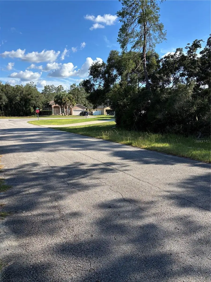 0 SW 171st Street, Ocala, FL 34473 - #3