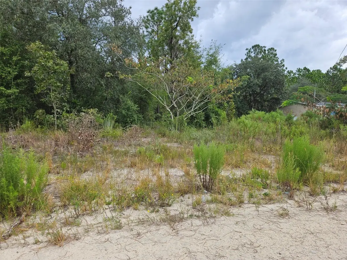 0000 NE 67th Street, Bronson, FL 32621 - #1
