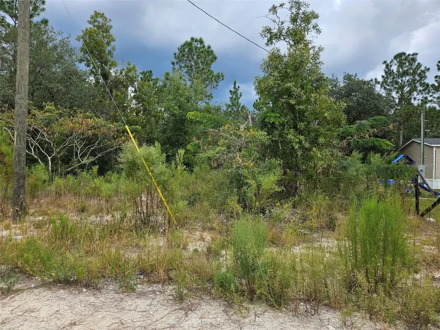0000 NE 67th Street, Bronson, FL 32621 - #2