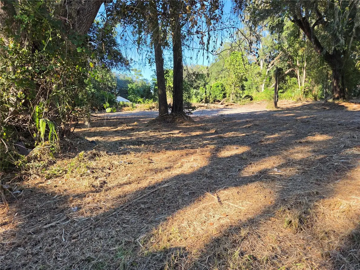291 SE 81st Street, Ocala, FL 34480 - #1