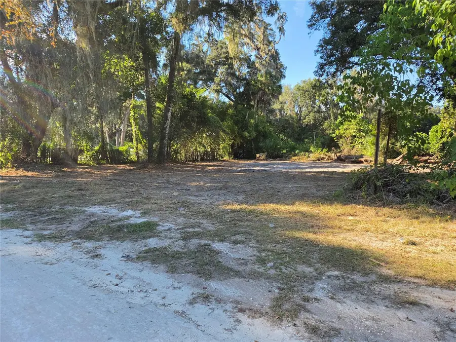 291 SE 81st Street, Ocala, FL 34480 - #2